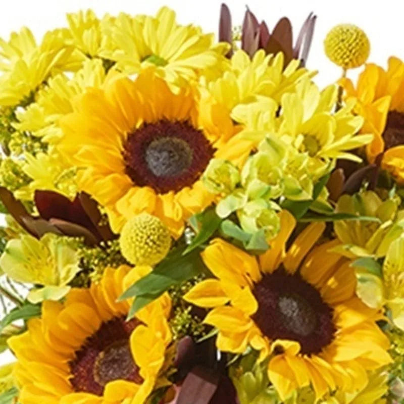 Goldene Sonnenblumen