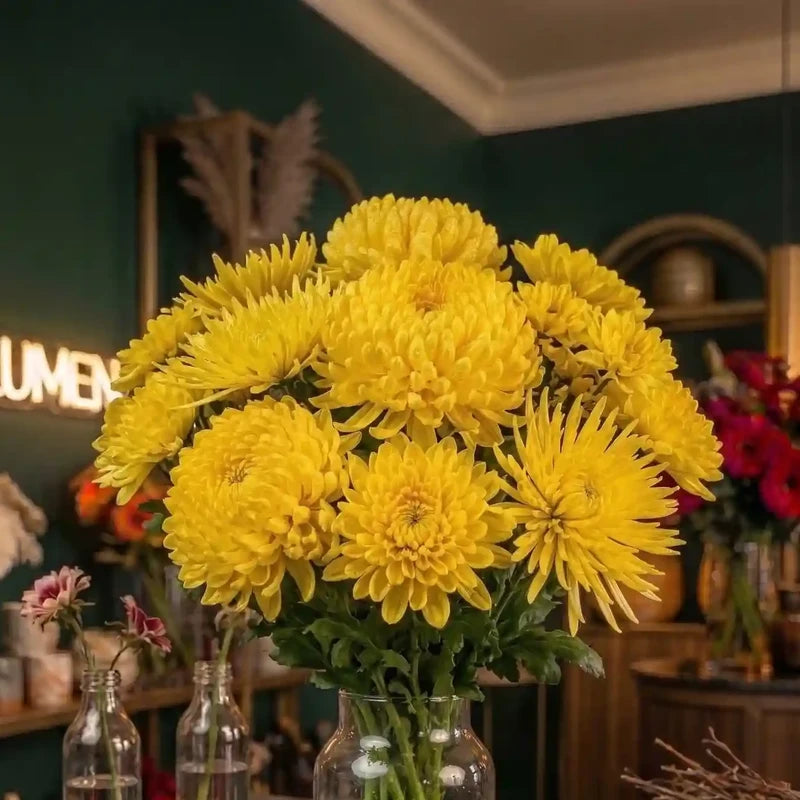 Strauß gelber Chrysanthemen von MO BLUMEN in Klarglasvase vor dunklem Hintergrund mit Neonschriftzug.