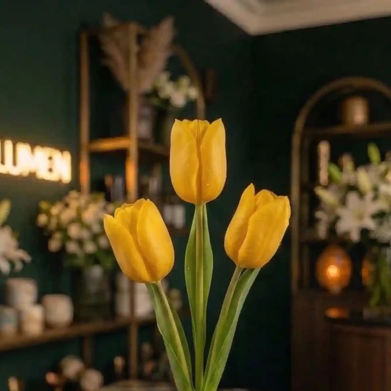 Goldene Tulpen Nahaufnahme – MO BLUMEN Wien