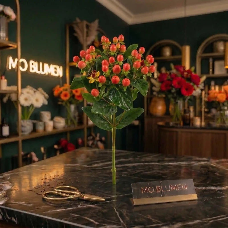 Hypericum Beeren Einzelblume – MO BLUMEN Wien