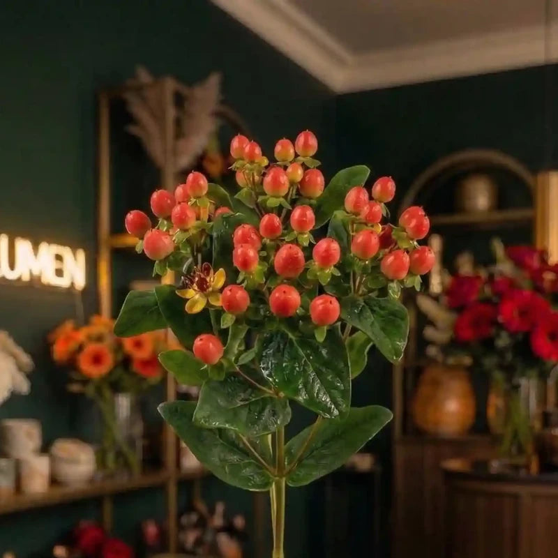 Hypericum Beeren Nahaufnahme – MO BLUMEN Wien
