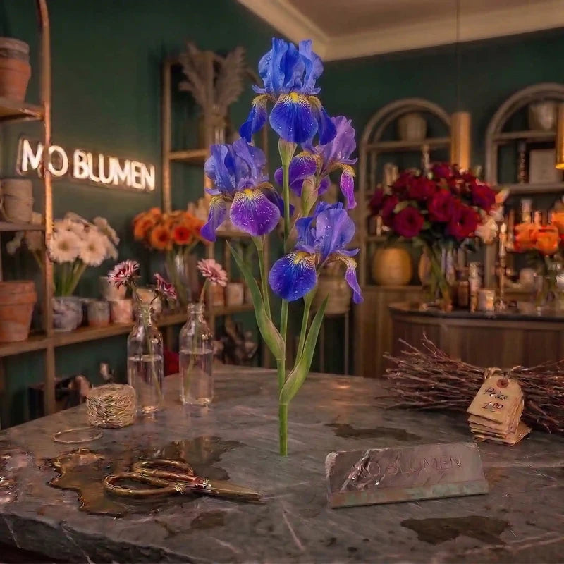 Taufrische blau-violette Iris von MO BLUMEN auf einem Marmortresen in einem Blumengeschäft.