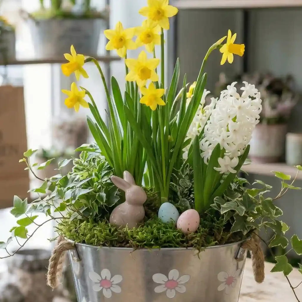 Mini Oster-Pflanzkorb von MO BLUMEN: ein dekorierter Silbereimer mit gelben Narzissen, weißen Hyazinthen, Moos, einem rosafarbenen Häschen und zwei pastellfarbenen Ostereiern.