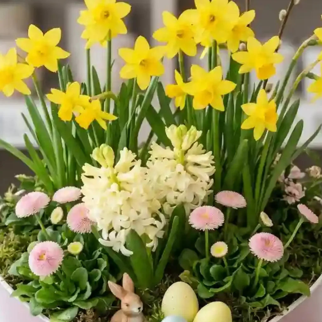 Osterkorb mit gelben Narzissen und weißen Hyazinthen von MO BLUMEN, dekoriert mit rosa Gänseblümchen, einem Häschen, Ostereiern und Weidenkätzchen.