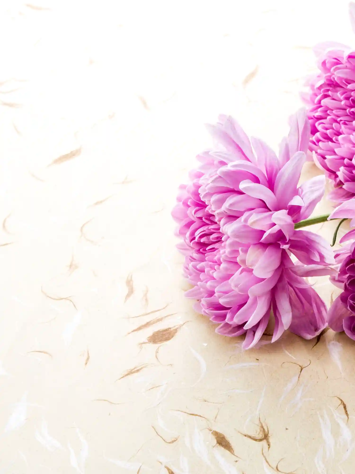 Close-up of pink flowers on a white cake with a light background