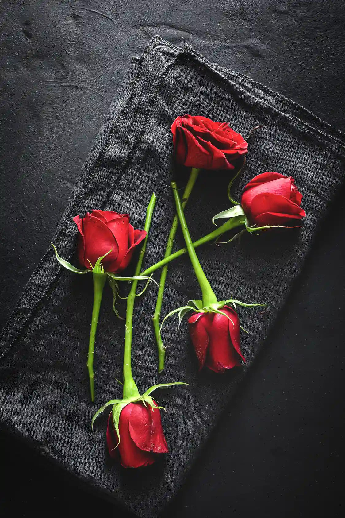 Rote Rose in schwarzer LOVE Verpackung als Valentinstag Geschenk bei MO BLUMEN Wien