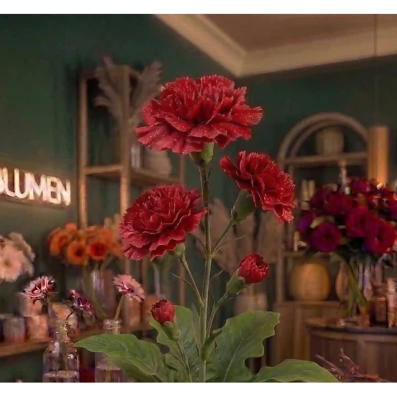 Rote Spray-Nelke von MO BLUMEN mit mehreren Blüten und Knospen, bedeckt mit Wassertropfen, in einer Blumenhandlung.