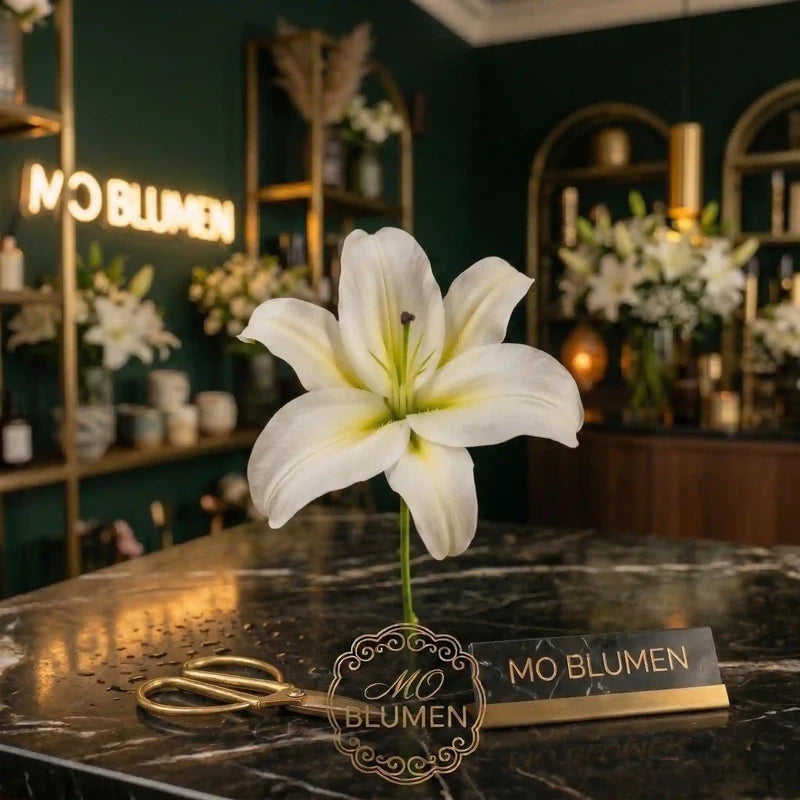 Weiße Lilie Einzelblume – MO BLUMEN Wien