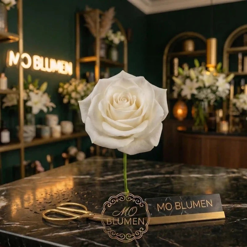 Weiße Rose Einzelblume – MO BLUMEN Wien